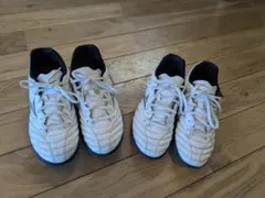 Mizuno MONARCIDA NEO 23.5＆24.0 2足セット