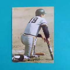 カルビープロ野球カード南海野村選手1975年 仙台宮城球場