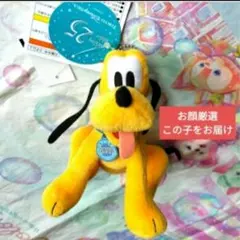 東京ディズニーランド34周年 プルート ぬいぐるみバッジ - メルカリ