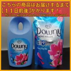 ベトナムダウニー サンライズフレッシュ 詰替え用 濃縮タイプ 800mL×29袋 ベトナムダウニー サンライズフレッシュ お徳用詰替750ml×3袋 アジアン