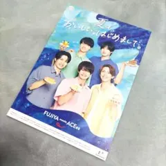 ACEes不二家フライヤー１０枚セット