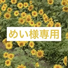 おまとめ2点セット