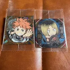 にふぉるめーしょん 劇場版ハイキュー　シールウエハース　日向翔陽