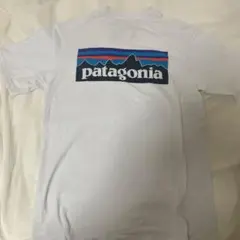 patagonia ホワイト Tシャツ 半袖