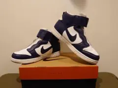 レア NIKE DUNK HI EASE WMNS