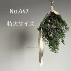 No.447 特大サイズ　silent snow ヒムロスギのスワッグ