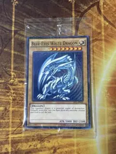 ARS9 遊戯王 バンダイ版 青眼の白龍 psa ブルーアイズホワイトドラゴン