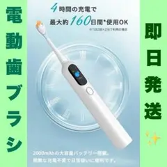 Item thumbnail for item 731b6e35-7416-4287-8f53-457a0eb8c8fb