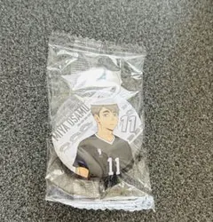 【限定値下げ】治さん ビッくらポン！缶バッジ