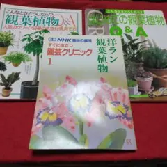 Item thumbnail for item 49b07df8-275a-478d-a400-11a6b3199242