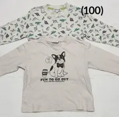 キッズ 長袖Tシャツ 2点セット 男の子 春秋 (100cm)