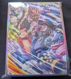 ジョジョの奇妙な冒険 空条承太郎 DIO ワールド スタープラチナ スリーブ