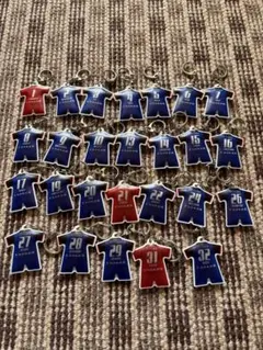 コンプリート　カターレ富山 キーホルダー