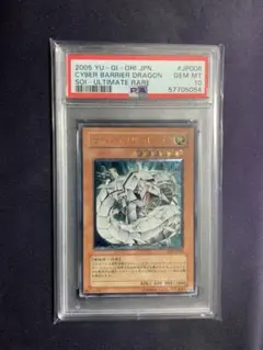 2026年最新】サイバードラゴン レリーフ psa10の人気アイテム - メルカリ