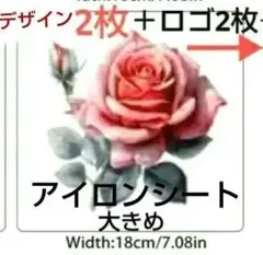 Item thumbnail for item aa59e5a4-e13f-4caa-9703-51cd16e5d9a1