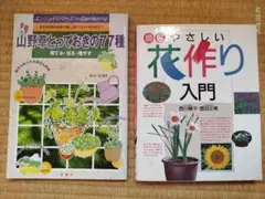 2026年最新】趣味の山野草の人気アイテム - メルカリ