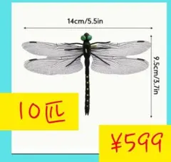 Item thumbnail for item f814e525-679a-41b6-bc29-409bd481a11d