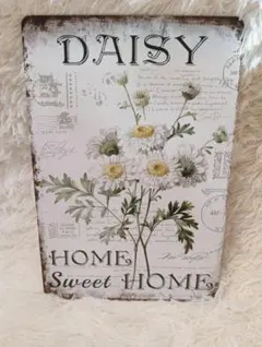 Item thumbnail for item 0e2b2970-1ad4-4b51-abeb-5ff41aae9850