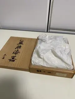 Item thumbnail for item e0fe6342-1aaa-43de-b9f9-ddd55e4080a6