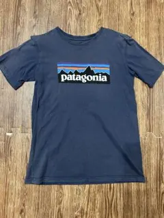 patagonia トップス