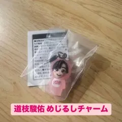 【匿名配送】道枝駿佑　めじるしチャーム