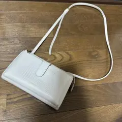 Item thumbnail for item 702c83e5-2ad9-4a44-9b09-5c0fa5db7c9b