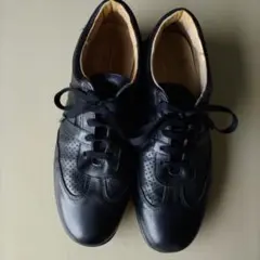 Item thumbnail for item 7224e658-df3b-45b2-ac7b-1d04850cb1e9