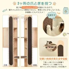 Item thumbnail for item 3db3ec58-0507-4452-af15-51ab8463020d