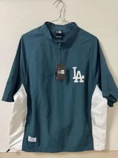 Item thumbnail for item 3f8e16d0-4844-4794-883d-0efc84d8a4ed