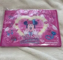 ミニー ファンダーランド パルパルーザ ディズニー ショッピングバック