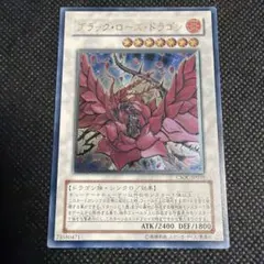 2026年最新】レリーフ ブラックローズドラゴンの人気アイテム - メルカリ