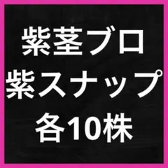 じゅん様 リクエスト 2点 まとめ商品