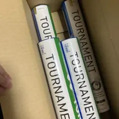 Item thumbnail for item 015f46c8-04d6-45a4-ba30-6f500c052d4c