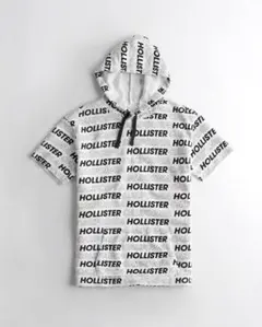 ホリスターメンズ半袖スウェットフーディーMサイズ