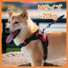 愛犬の安全なお散歩に！ 胴輪 ハーネス Mサイズ〜20kg 赤 中型犬のサムネイル