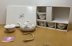 【未使用】HOYA CHINA 保谷謹製 蘭 茶器揃 急須＆湯呑み5客セット