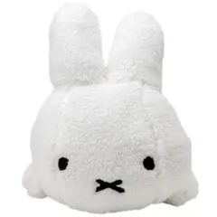 Item thumbnail for item 715f31ba-51b7-406b-93c9-7d12a844ac76