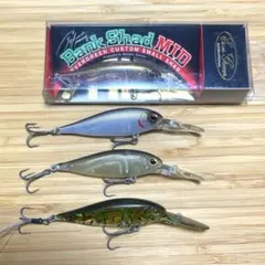 Item thumbnail for item 4fb467ba-86bc-4f2a-8ec4-adaf2b0a8195