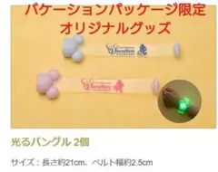 【2個セット】バケーションパッケージ限定オリジナルグッズ・光るバングル