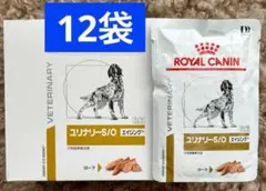 K  CANIN ユリナリーS/Oエイジング7+ 85g42袋 犬用 ユリナリーS/O エイジング7+ 小粒 1kg