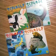 2026年最新】たくさんのふしぎ セットの人気アイテム - メルカリ