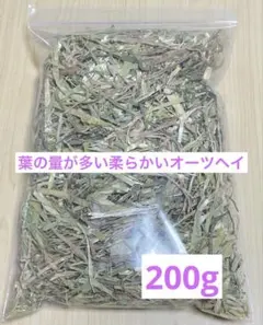 沖縄県やんばる産マジックリーフ 60g 20〜25枚入 UV殺菌灯照射済み⑤