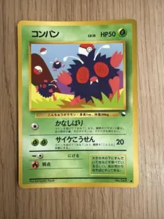 ポケモンカード コンパン