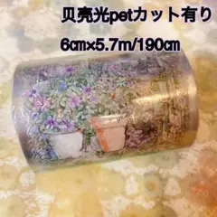 海外マスキングテープ巻売り 静時光 装飾マステ 贝壳光petテープ