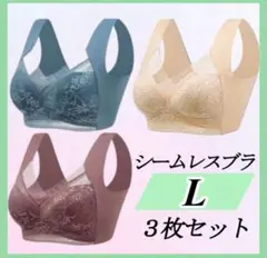 シームレスブラ ノンワイヤー ナイトブラ 着痩せ 美胸 まとめ売り　下着　大きい