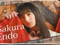 2026年最新】乃木フェス ブランケットの人気アイテム - メルカリ