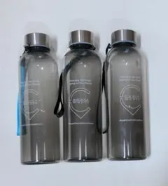 Item thumbnail for item 4933b09c-73ea-4f68-b745-af538f0611c2