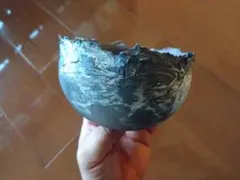 Item thumbnail for item 971e22cb-cff9-4372-9323-49409494b753