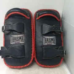 Item thumbnail for item a8921de9-58df-4429-a8be-5e01d46ee54a