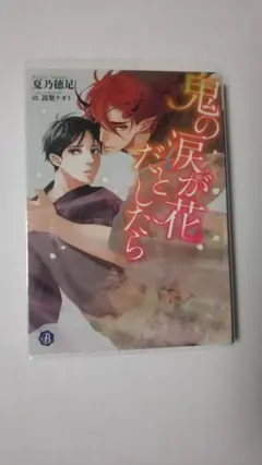 夏乃穂足　鬼の涙が花だとしたら　ＢＬ小説